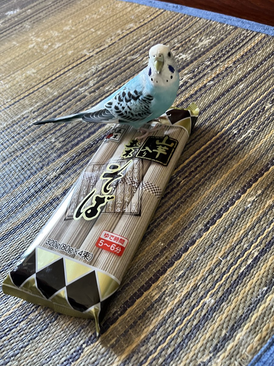 36hiika's tweet photo. 今日のお昼は五木のおそばですね https://t.co/CQA7ByxDjp