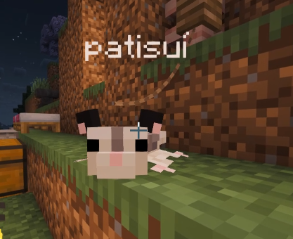 gaara0pg's tweet photo. Os presento a patisuí https://t.co/gc6O0qtkkI