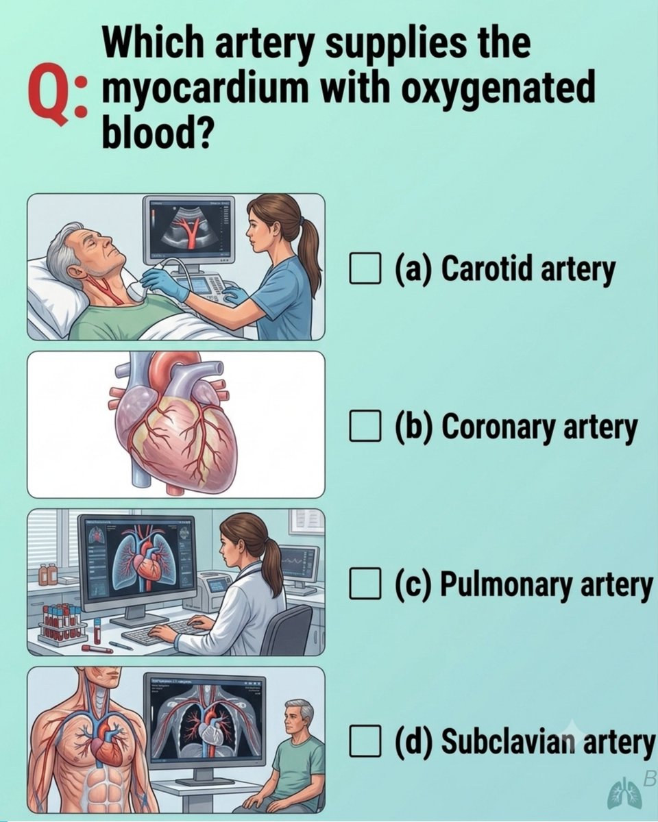 ExamO1187's tweet photo. 𝗪𝗵𝗮𝘁 𝗶𝘀 𝗰𝗼𝗿𝗿𝗲𝗰𝘁 𝗮𝗻𝘀𝘄𝗲𝗿?
𝗤𝘂𝗲𝘀𝘁𝗶𝗼𝗻: 𝗪𝗵𝗶𝗰𝗵 𝗮𝗿𝘁𝗲𝗿𝘆 𝘀𝘂𝗽𝗽𝗹𝗶𝗲𝘀 𝘁𝗵𝗲 𝗺𝘆𝗼𝗰𝗮𝗿𝗱𝗶𝘂𝗺 𝘄𝗶𝘁𝗵 𝗼𝘅𝘆𝗴𝗲𝗻𝗮𝘁𝗲𝗱 𝗯𝗹𝗼𝗼𝗱? 
A. Carotid artery 
B. Coronary artery 
C. Pulmonary artery 
D. Subclavian artery https://t.co/96PZqEBQuS