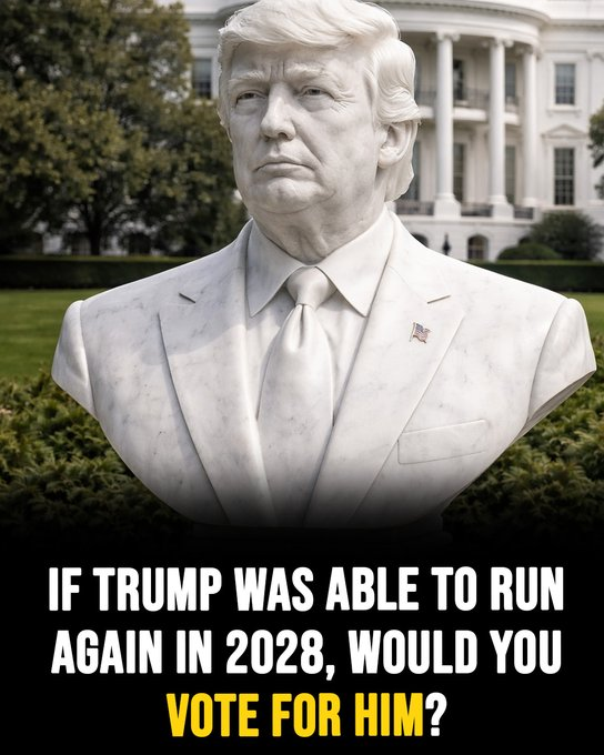 Anti Left Memes tweet media
