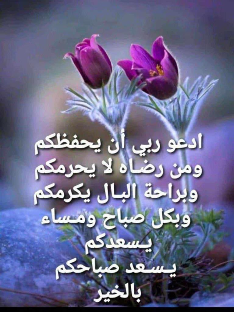 Fatima86435387's tweet photo. https://t.co/ApacFHsm8N