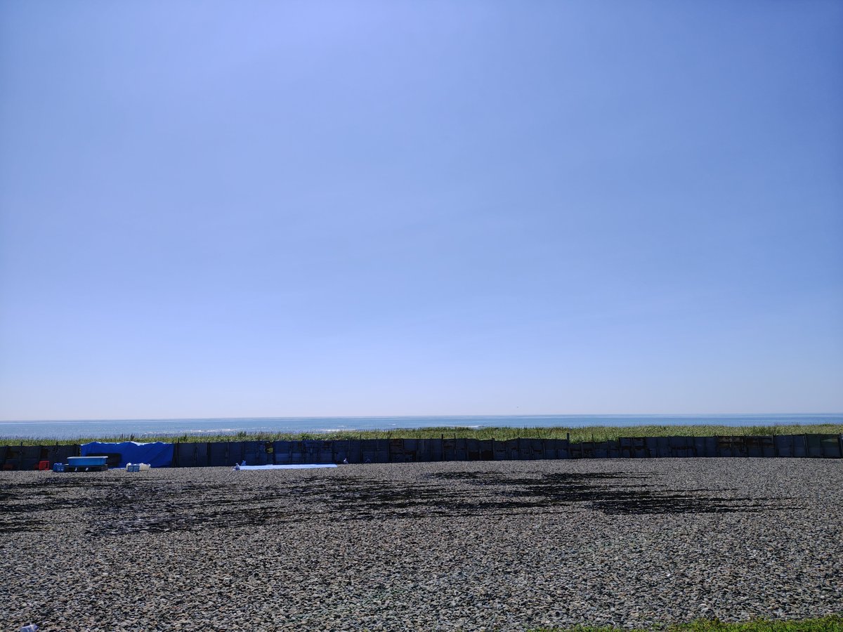 cyalonn's tweet photo. 8時頃から快晴☀日差しは強いけど気温22℃✨午後の労働頑張る✨ (๑و•̀ω•́)و✨ https://t.co/yrmIWeIa1O