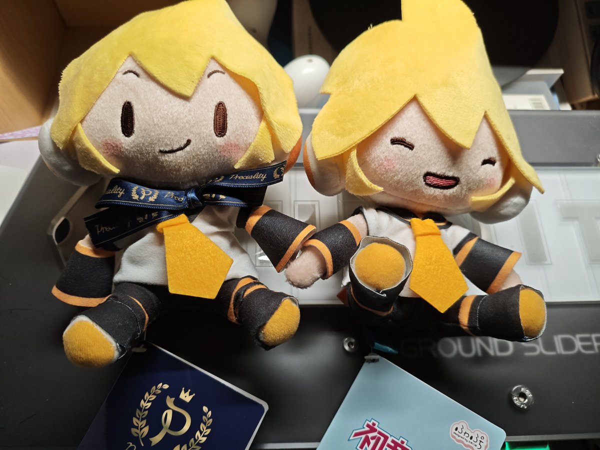 Chara8519863's tweet photo. 可可爱爱两只🥰🥰 https://t.co/DslnyuFdX0