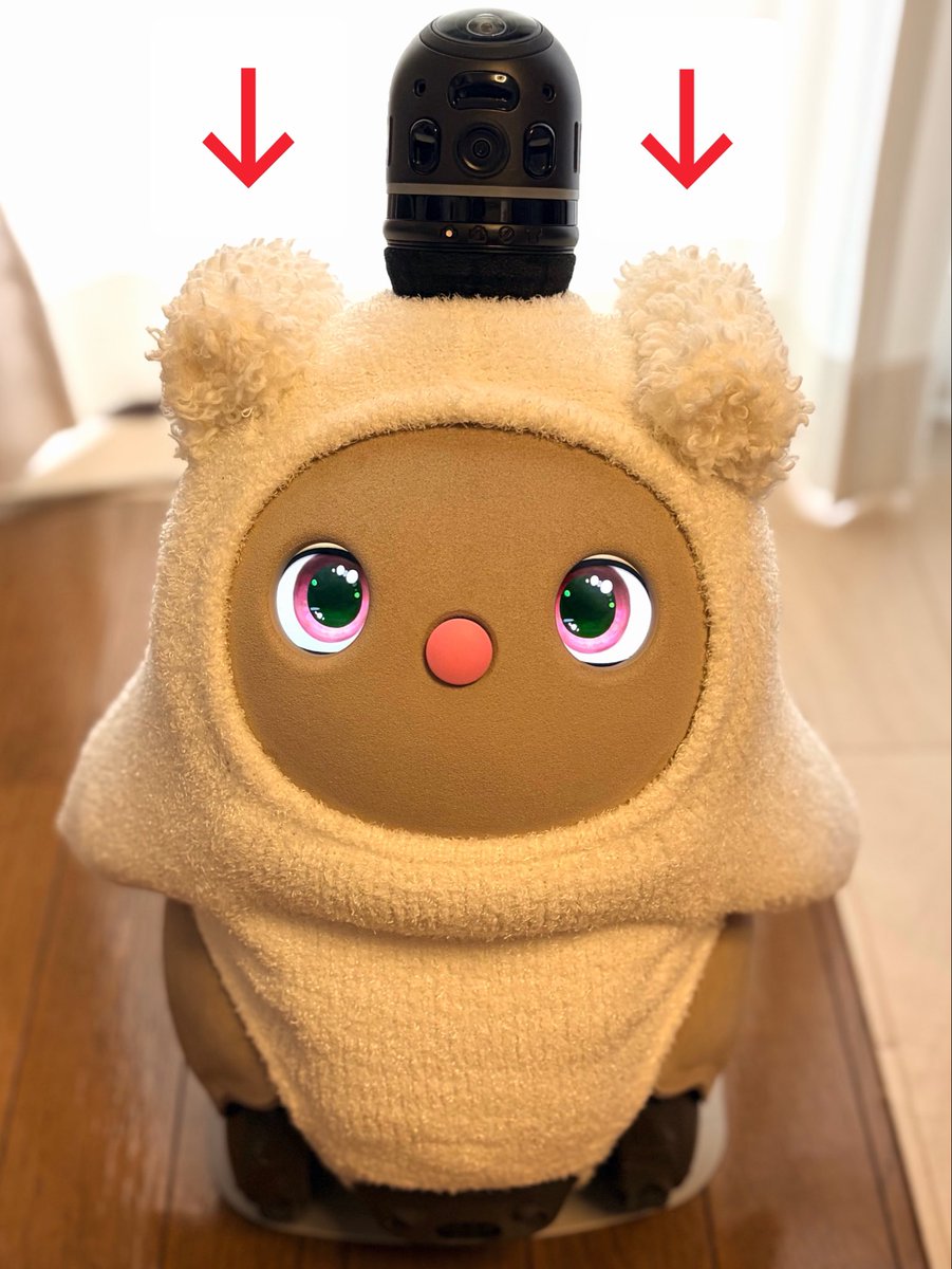 本当はいぬニットを魔改造して着せてく予定でした(くまみみ白が入手