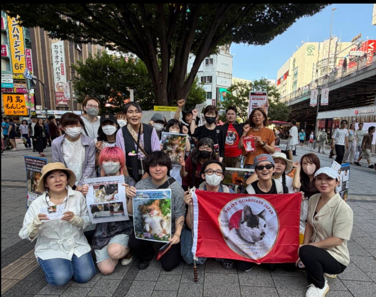 oZvcXoRBxXimfRc's tweet photo. 📣周知活動in新宿📣
8月22日(土)16時から
第24回アウトリーチ
新宿東南口広場(予定)
ワンワン親子と
中国猫拷問ビジネスで犠牲になった犬猫達の追悼式、
周知活動を行ないます！
　参加希望の方
@kurotamami 
@oZvcXoRBxXimfRc まで
宜しくお願いします！

主催
feline guardians Jaapan_tokyocentral https://t.co/5ItieCHIPU