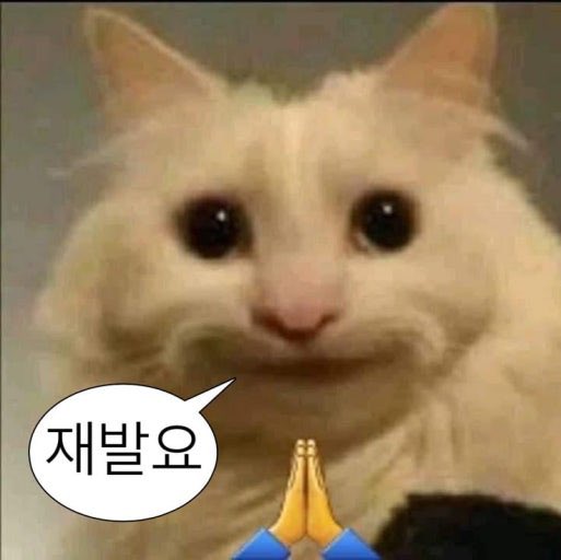 yangtaehan_'s tweet photo. @helLl_44 https://t.co/LlbJaKKLEw