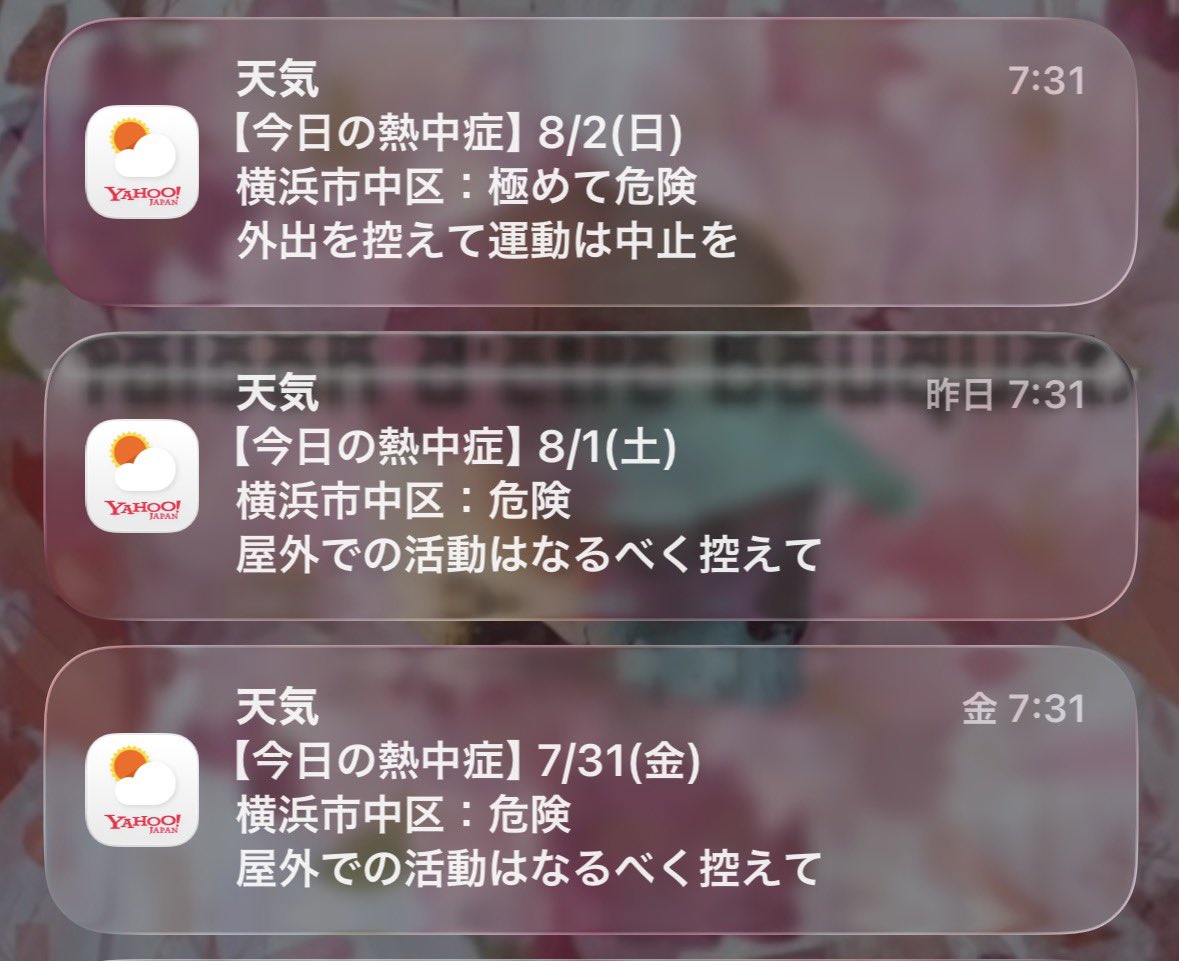 lostsheeps994's tweet photo. 昨日の「危険」を上回る「極めて危険」の文字を見て、今日はお家でマリアージュフレール とブルトンヌでティータイム🫖 https://t.co/ggVU7Op3hX