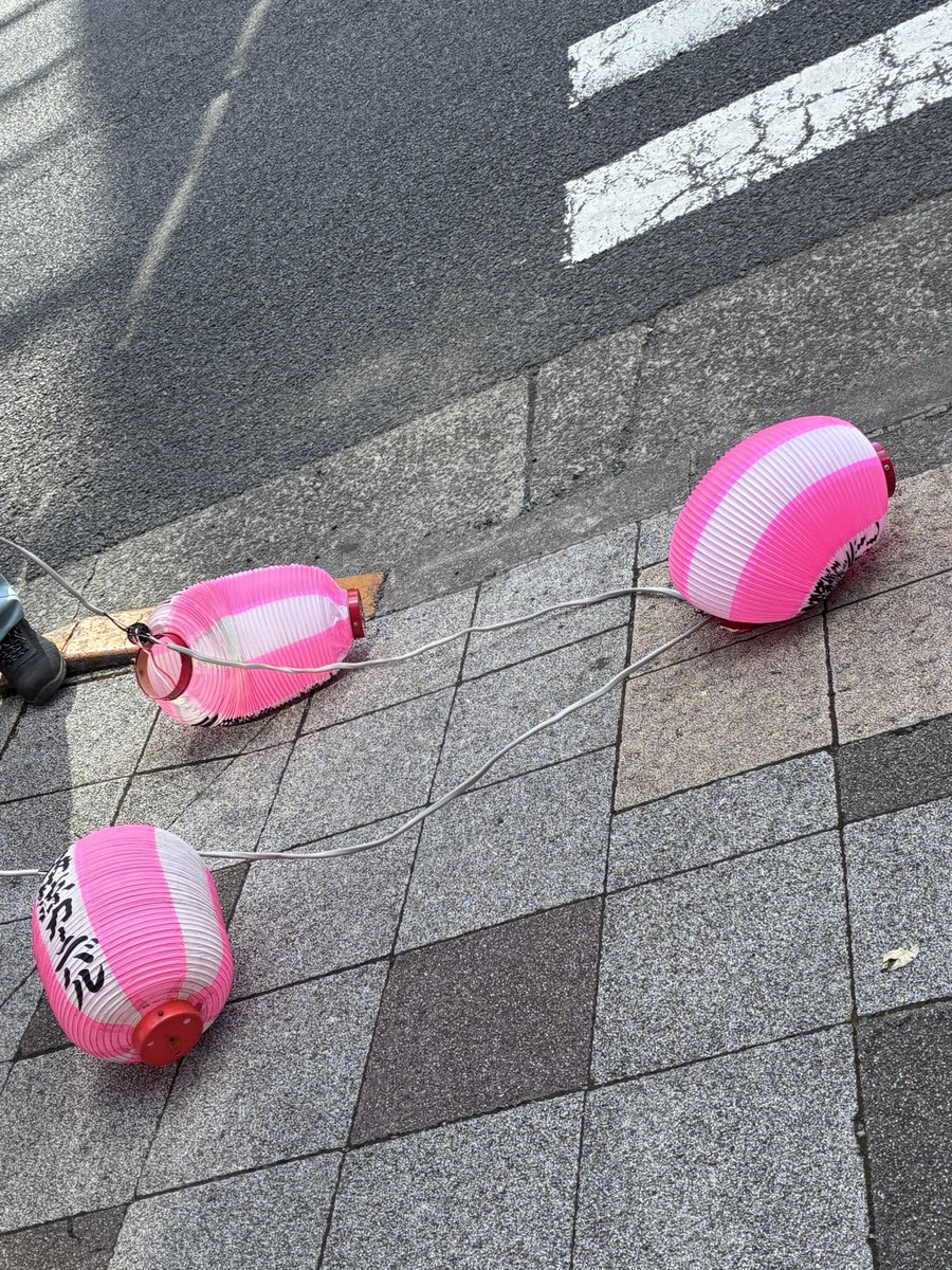 katokuniyasu's tweet photo. 主人（奴隷主）たちにとって難問だったのは、（略）、ニグロはやはり知能と感情を備える人間であることに変わりはないという事実だった。彼らを十分馴致しておく��は、計算ずくの残忍性と恐怖による管理体制が必要だった。

#C・L・R・ジェームズ
『#ブラック・じゃやこばん 』

#ニグロ
#奴隷
#恐怖 https://t.co/Q6cCqI9JaL