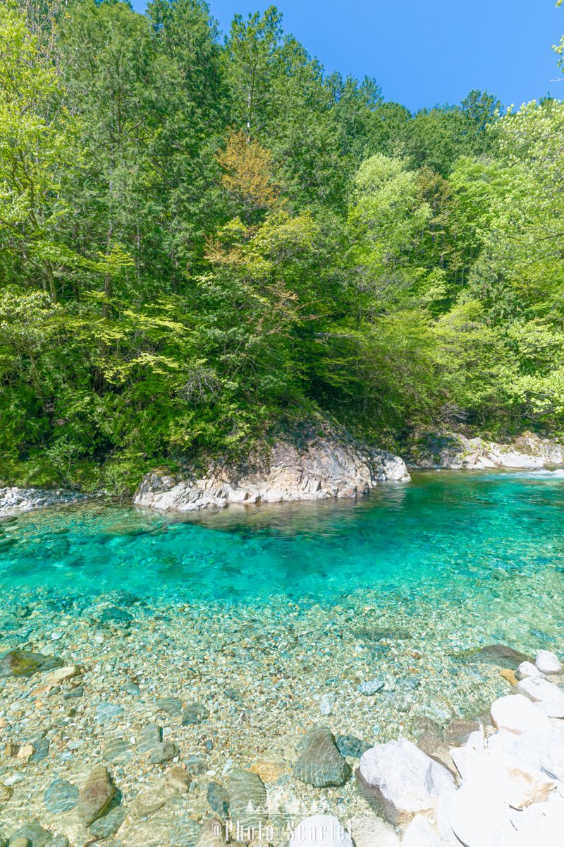 Photo_Scarlet's tweet photo. この時期、長野県の渓谷は最強の絶景です。 https://t.co/EMpZVctty9
