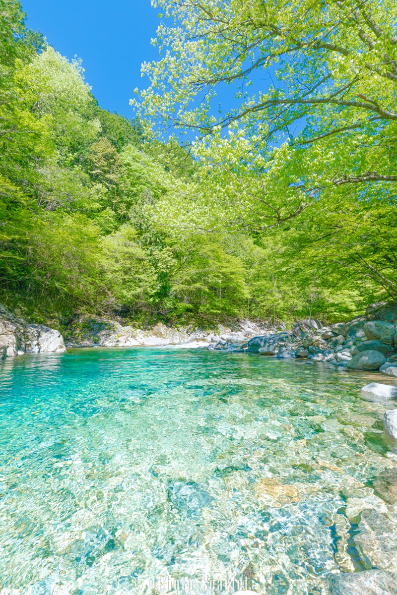 Photo_Scarlet's tweet photo. この時期、長野県の渓谷は最強の絶景です。 https://t.co/EMpZVctty9