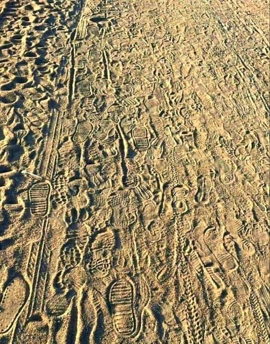 fatememoosavi03's tweet photo. مسیر اربعین روایت قدم‌های عاشقی است که از نجف تا کربلا با هر گام، دل را به حریم نور می‌رسانند. در این جاده، هر عمود نشانی از امید است و هر قدم، ذکری در هوای حسین (ع)
#یا_لثارات_الحسین 
#روایت_مقاومت https://t.co/Jy9jzK1YG3
