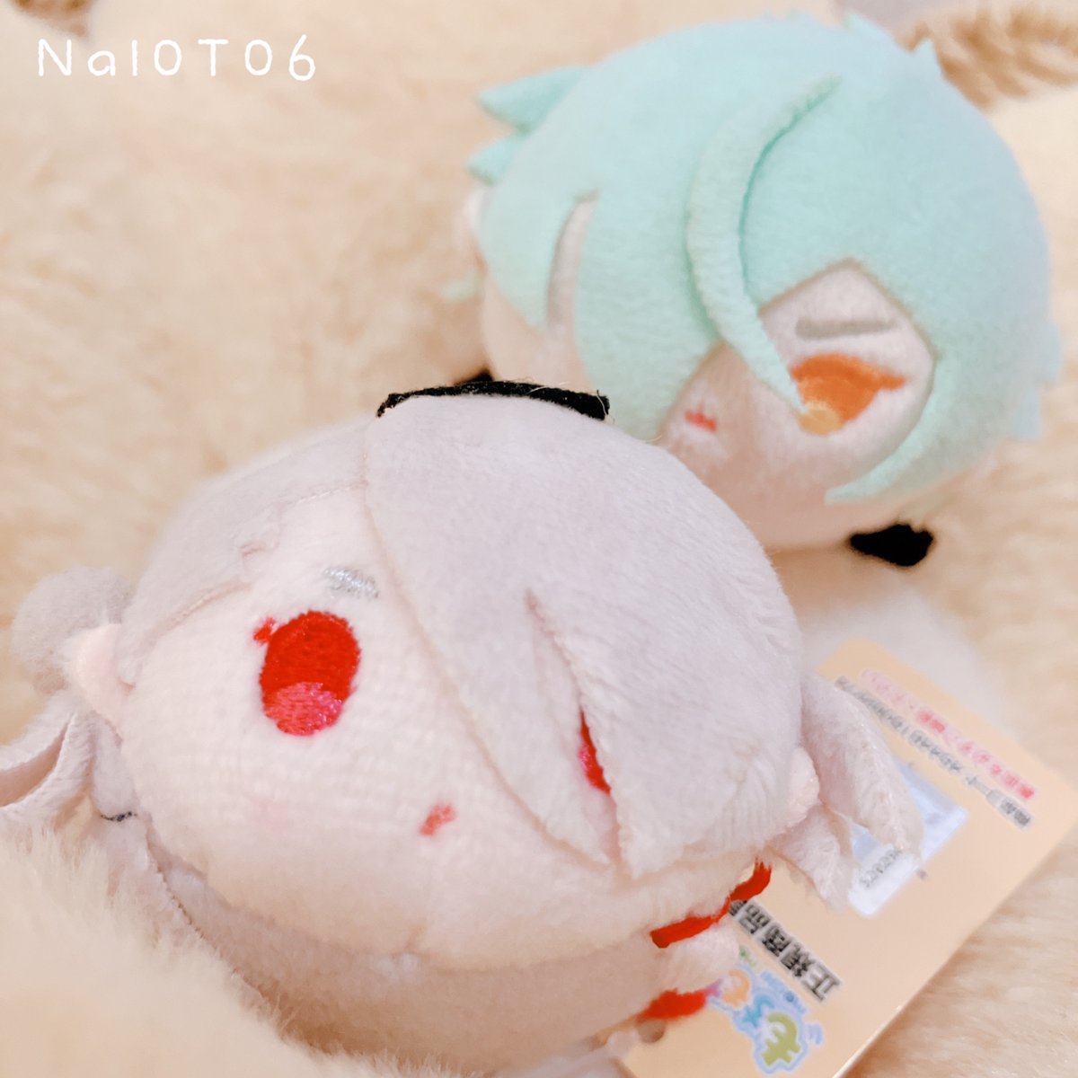 Nal0T06's tweet photo. こんにちは、しんいりです。まだほっぺがさくらいろですよ。🌸🕊️ https://t.co/GxODu8k7jw