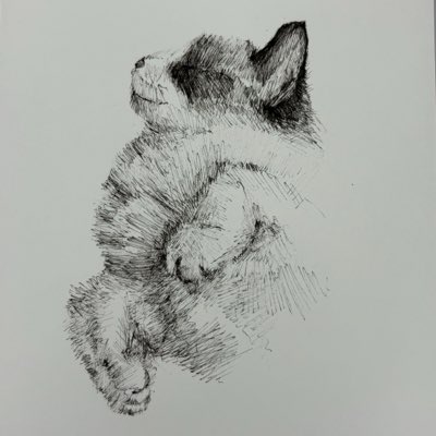 koeda_art's tweet photo. #新しいプロフィール画像 https://t.co/RbcdPxo8Xr