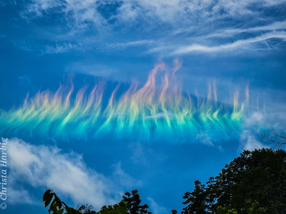 PaulPoteet's tweet photo. #space #nasa  What's happening to this cloud? Ice crystals in a distant cirrus cloud are acting like little floating prisms. Known informally as a fire rainbow for its flame-like appearance, a circumhorizon arc appears parallel to the horizon. For a circ… https://t.co/NQ7nCzPEKQ https://t.co/XFqJSRlFe1