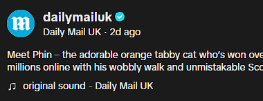 Den_O1_'s tweet photo. Found this Giga Viral TikTok

The Video is of Phin (Phineas) the Cat showing of his Scouse Accent. (Name is in the bio of the vid and the guys says it)

2.5 Million Likes and 14 Million Views in 2 Days.

Market is slow and this cat is insanely viral, lets send this!

https://t.co/2al8dBXvTE