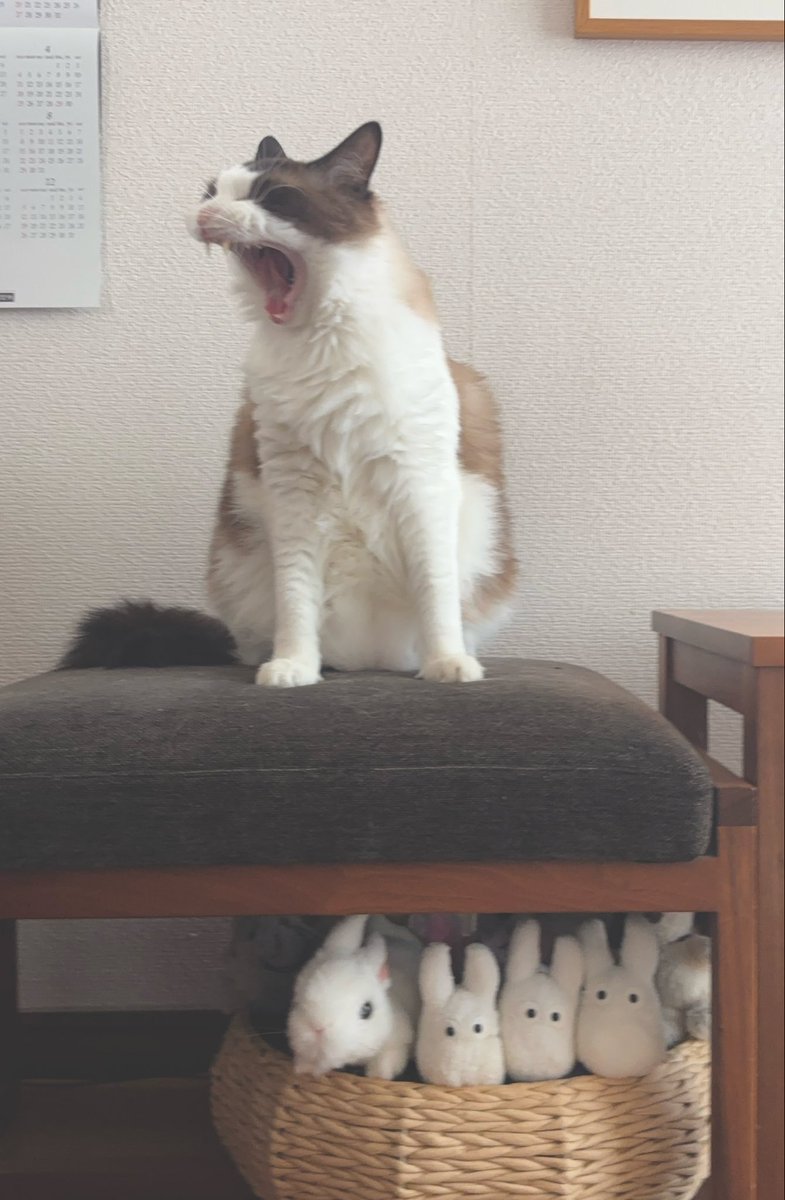 heltune's tweet photo. 😖 https://t.co/kExc1uZz3F