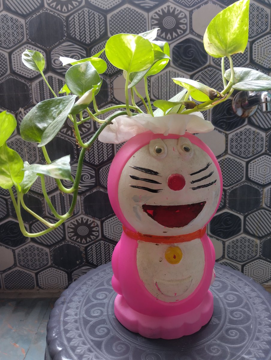 Sunee8479's tweet photo. Doremon lo money plant.. https://t.co/FJIgH5spBu