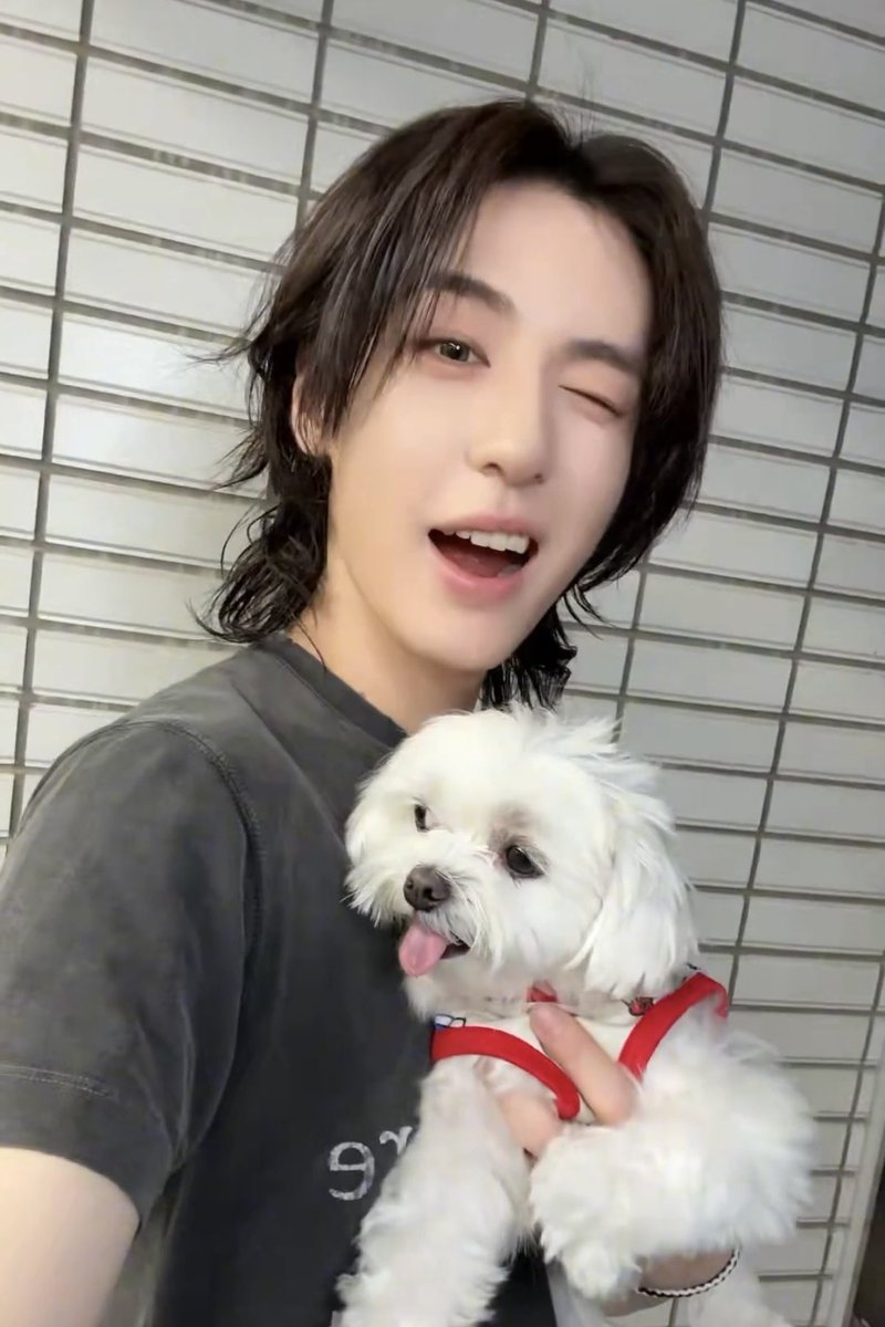 Mollyleehan's tweet photo. 귀요미들 🤍🤍 https://t.co/8siSNUpfes