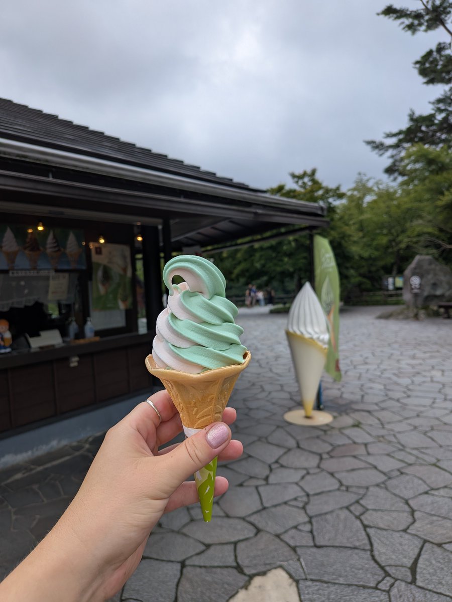 crowsaredark's tweet photo. Pas fâchée avec la vie en ce moment 
#japan https://t.co/tJ17IbjqAW
