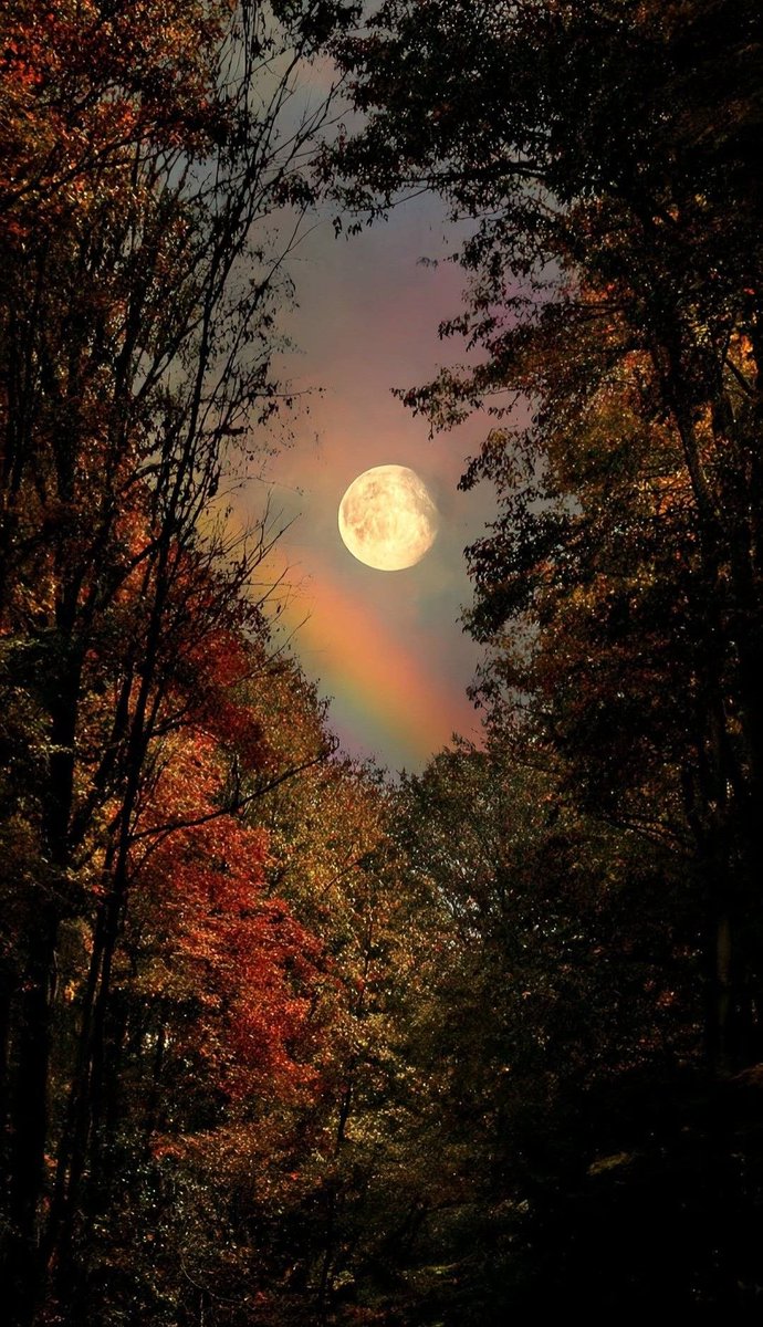 DailyMoonX's tweet photo. https://t.co/ibLoCxxSRg