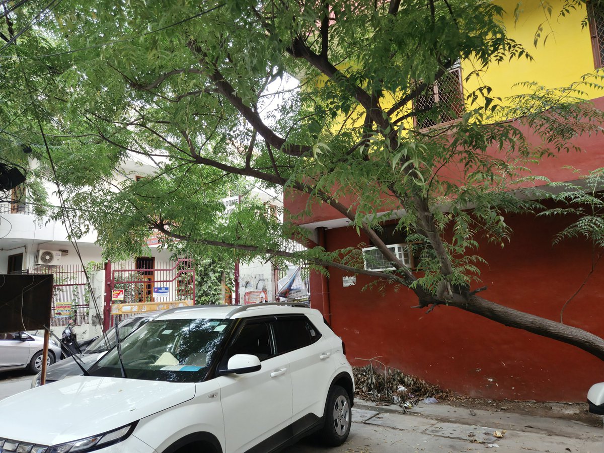 NATI0N_FIRST's tweet photo. A dangerously leaning tree near to my house is at risk of falling. If it falls it could bring down nearby electricity and internet cables, posing a serious public safety risk &amp; causing service disruption. Requesting the concerned authorities to inspect it urgently &amp; take action. https://t.co/WJRdGl5Zto