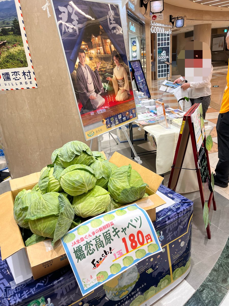 gunma_oosaka's tweet photo. ぐんまキャベツ祭り 
IN OSAKA 2026✨🥬
開催中❣️

みずみずしい嬬恋高原キャベツをご用意して、会場でお待ちしております👇
https://t.co/wxIxIEt2SK…

#嬬恋高原キャベツ #嬬恋村 #JA全農ぐんま #関西群馬県人会 https://t.co/NVgug5dIbX