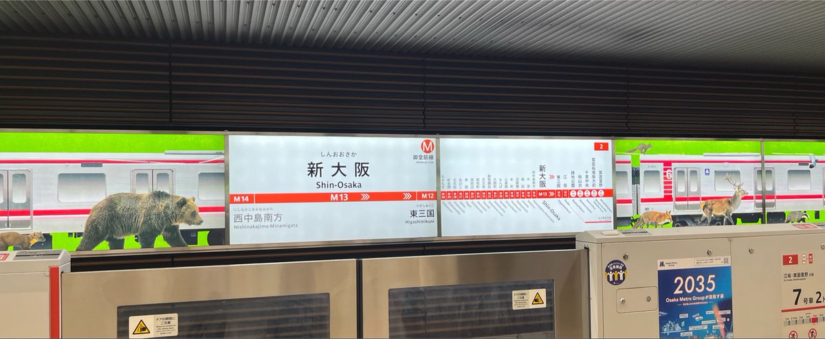 spbv_kochan's tweet photo. 大阪来たよー！🦫！ https://t.co/m3yVqpPLqL
