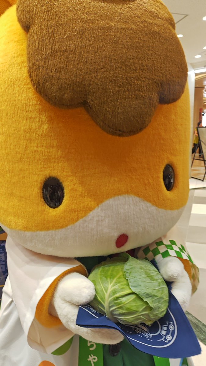 kichimon_mon's tweet photo. ぐんまちゃんもPR🐴
ぐんまちゃんはそのまま食べるのがオススメと😆 https://t.co/cC6sgcJTRd