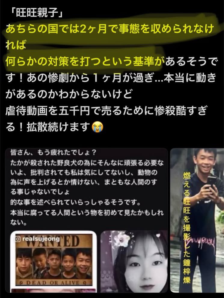 rein_mizusawa's tweet photo. #拡散協力
#旺旺ちゃん
#旺旺親子　
#水沢レイン　
しつこいぐらい世界に拡散協力していきたい https://t.co/Cdal8nyf3K