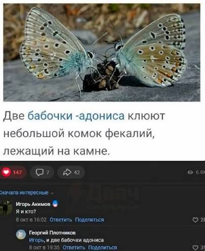 aperigator3's tweet photo. https://t.co/7E9oU4Ta7h