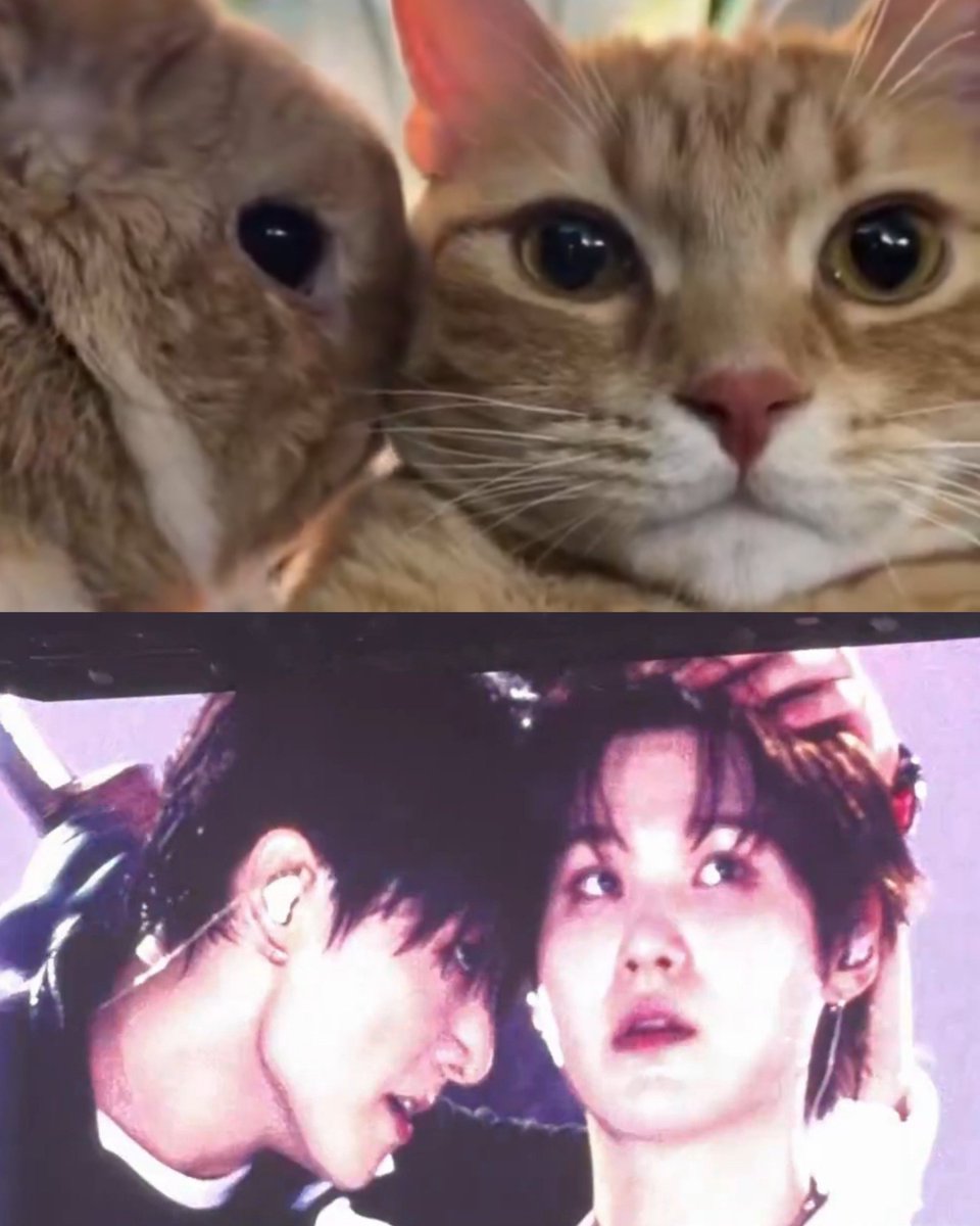 winnttaebear's tweet photo. They kinda recreated this https://t.co/YdLNtMUOk6
