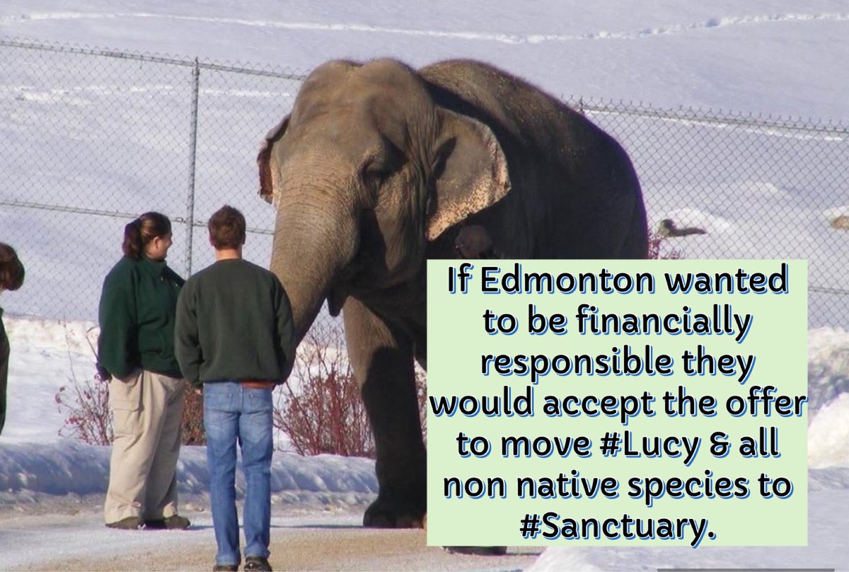 Cosmicbrigade's tweet photo. #SundayThoughts 
And it’s another week for #Lucy lost to captivity.

It’s just another day for you in paradise @AndrewKnack 

You’re so lucky to have choice, freedom, friends and family around you. 

Think twice, think #Lucy ! https://t.co/VRRFZDJaDW