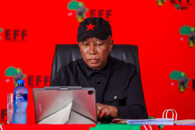 ZizinjaAbelungu's tweet photo. Good Doctor @MbuyiseniNdlozi could you please invite CiC the Commander in Chief and President, @Julius_S_Malema to appear on one of the greatest podcast in the Country right now, the African Renaissance Podcast? 😭❤️🙏🏾 https://t.co/cKkTOShbq8