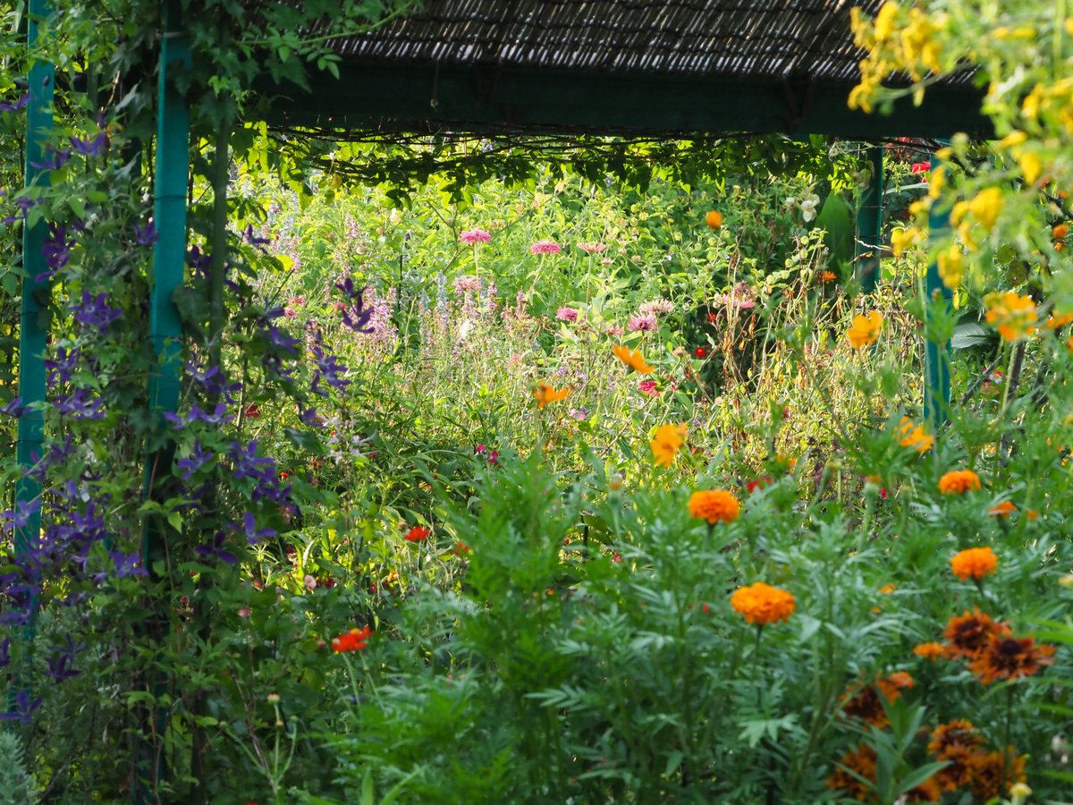 KitagawaVillage's tweet photo. 夏の「花の庭」。
少し日が傾きはじめる夕暮れ時が、儂は好きじゃのぅ。

#モネの庭　#高知 https://t.co/koBAMzBdPI