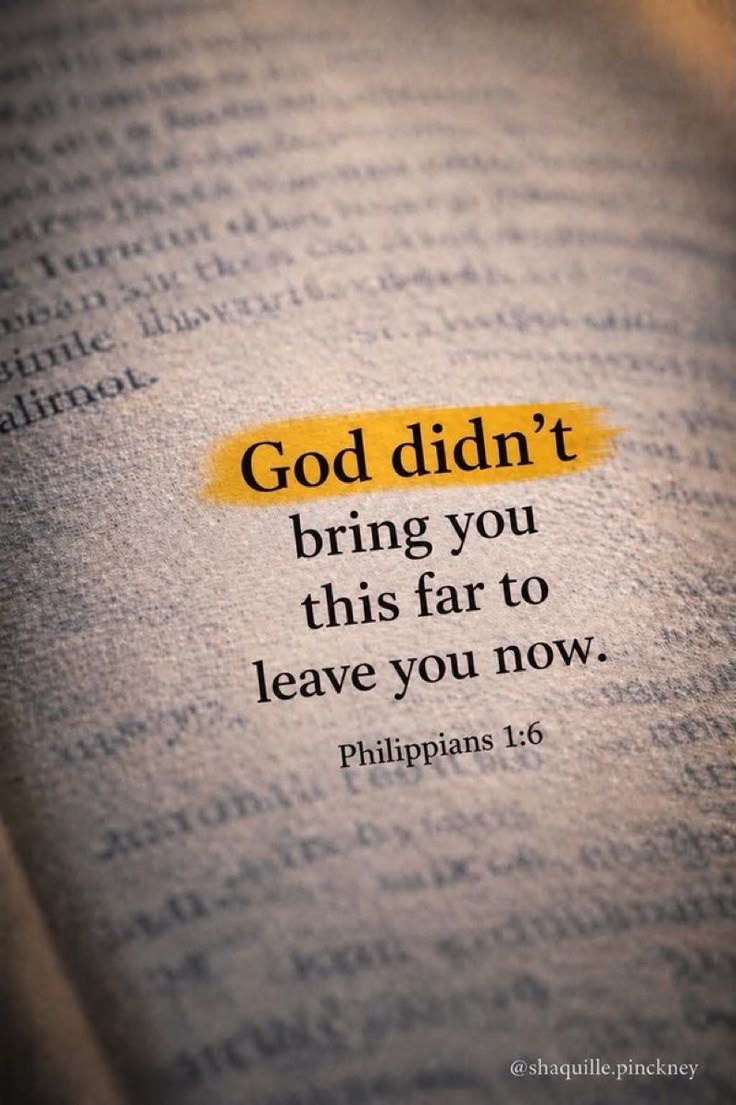 regisjpqs's tweet photo. Good morning 🌞 https://t.co/L510YLjPgd
