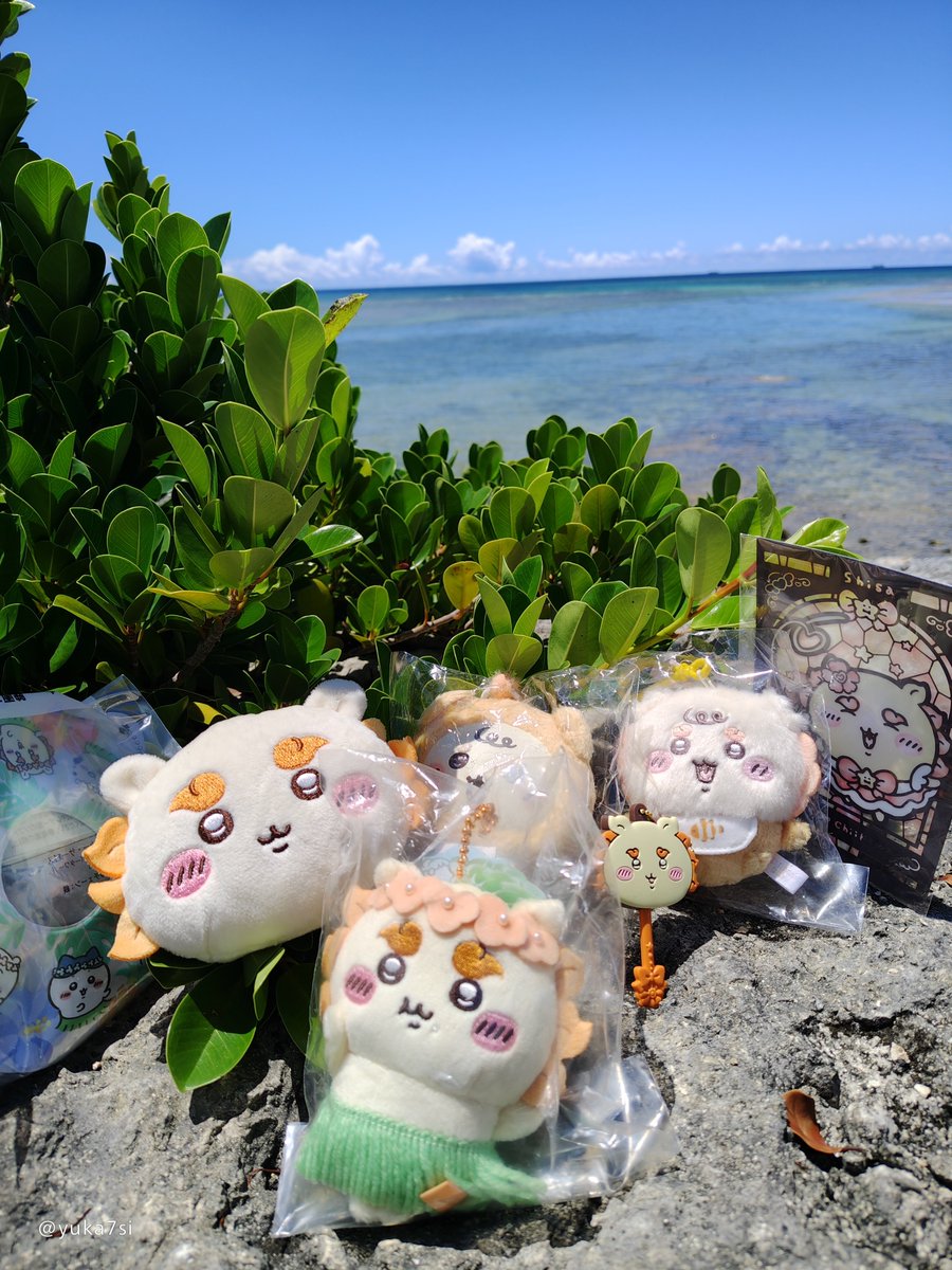 yuka7si's tweet photo. おう！シーサーに海見せてきた！！パルコのポーチもGETできたよ〜！！ https://t.co/xYQ8czY8Q1
