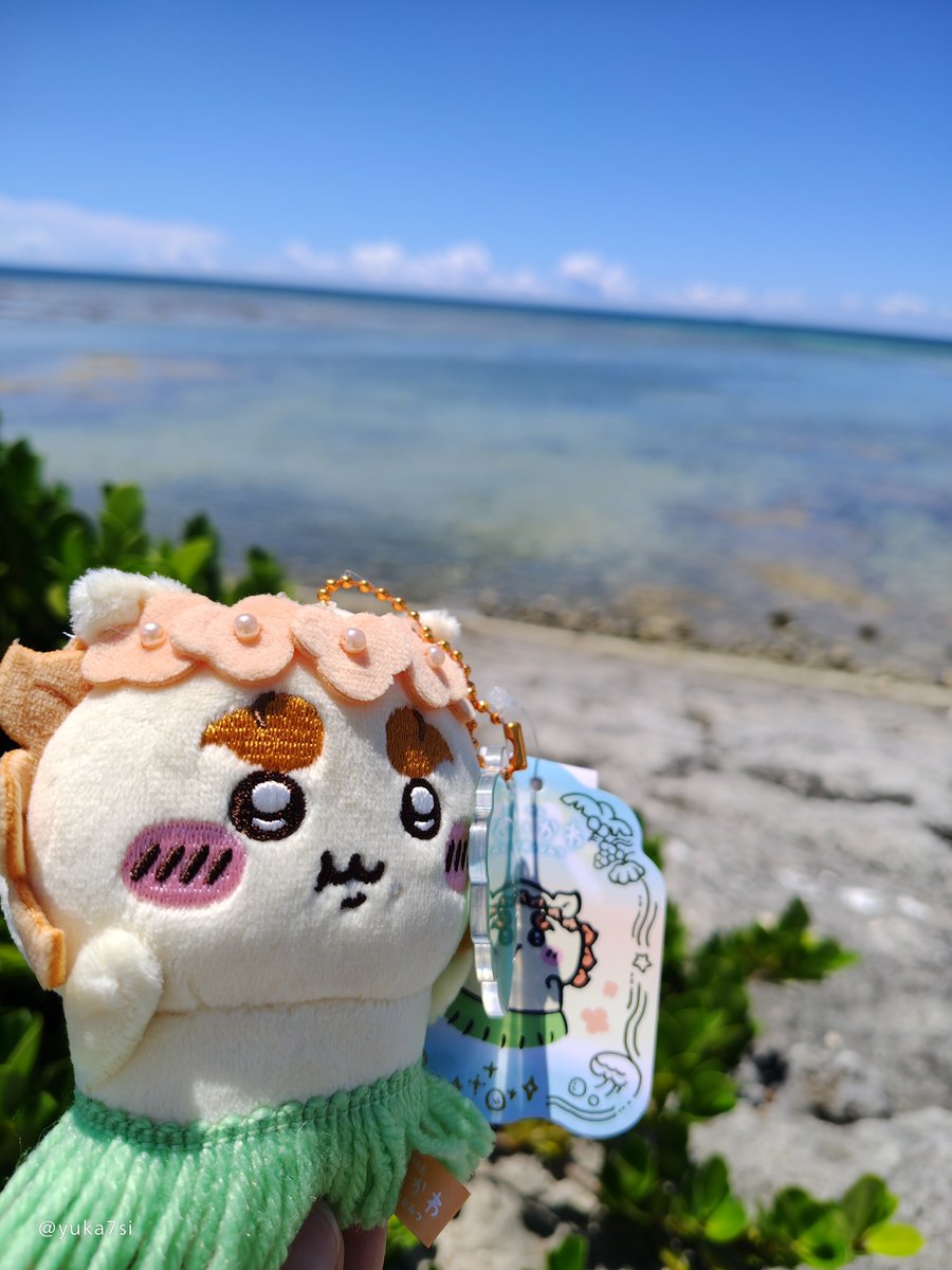 yuka7si's tweet photo. おう！シーサーに海見せてきた！！パルコのポーチもGETできたよ〜！！ https://t.co/xYQ8czY8Q1
