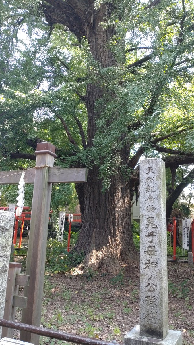daisuk_est's tweet photo. 鬼子母神堂 https://t.co/8NN7RTvvIU