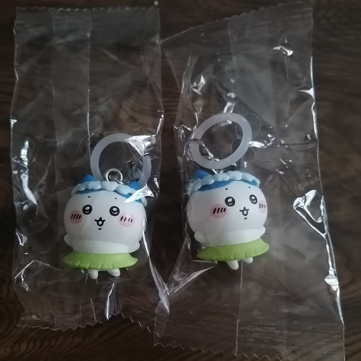 ゴン太くん王国 (@gontakunk) / Posts / X