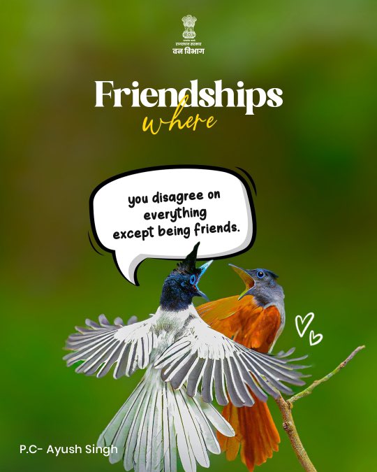 ForestRajasthan's tweet photo. No texts. No tags. No friendship requests.

Just shared meals, playful fights, quiet company and friendships that come naturally. Because in the wild, bonds are built without saying a word.

Happy Friendship Day from Rajasthan’s wildest friend circle. 🌿🐾

@DIPRRajasthan @RajGovOfficial @RajCMO @mygovrajasthan @BhajanlalBjp @Sanjay4India1 @byadavbjp @moefcc @wii_india @WWFINDIA 

#FriendshipDay #RajasthanForestDepartment #WildFriendships #RajasthanWildlife #ProtectWildlife