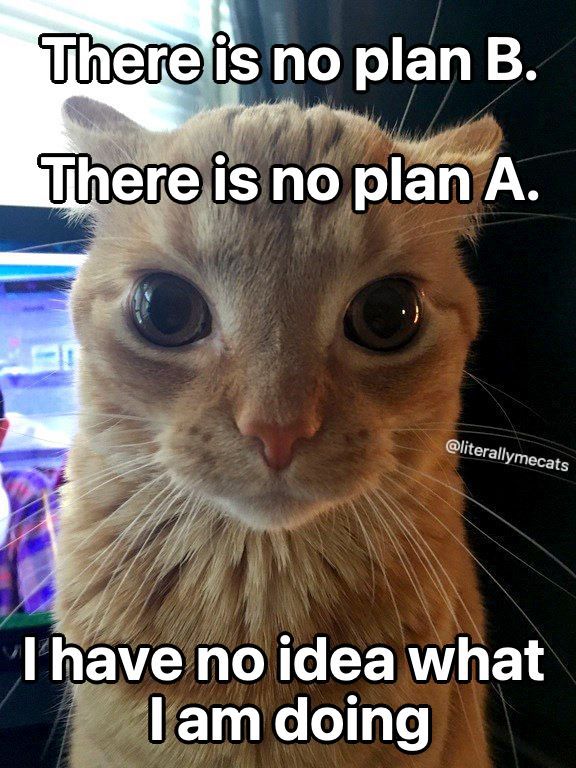 Cats_ooc's tweet photo. https://t.co/owYT1OwhBD
