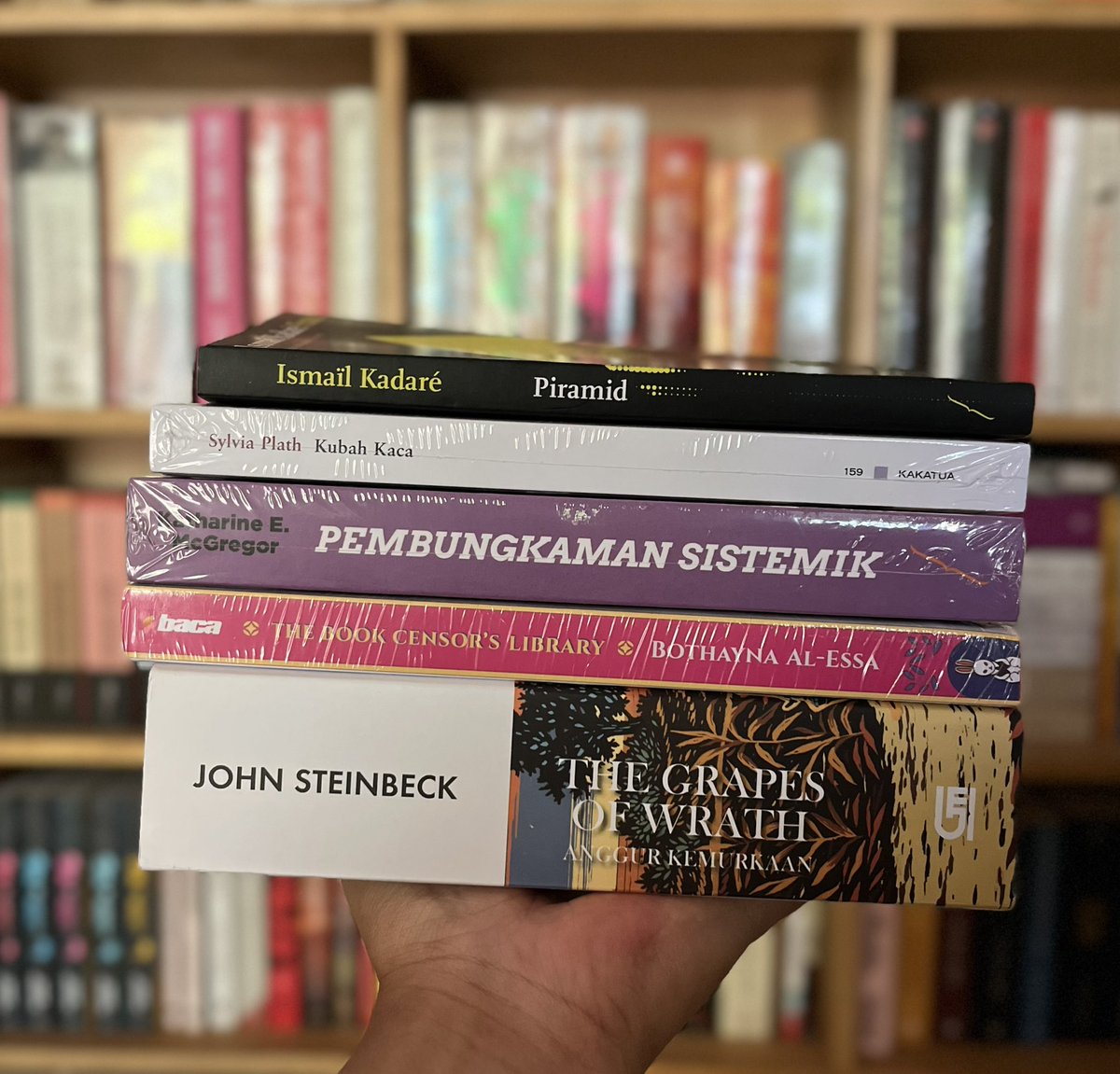 alfinrizalisme's tweet photo. coba komit nyelesain 5 ini dulu deh. tapi kalau ada buku baru lain yang kebaca ya oke juga haha

sekarang lagi baca: piramid dan the grapes of wrath https://t.co/NazDzvBWOS