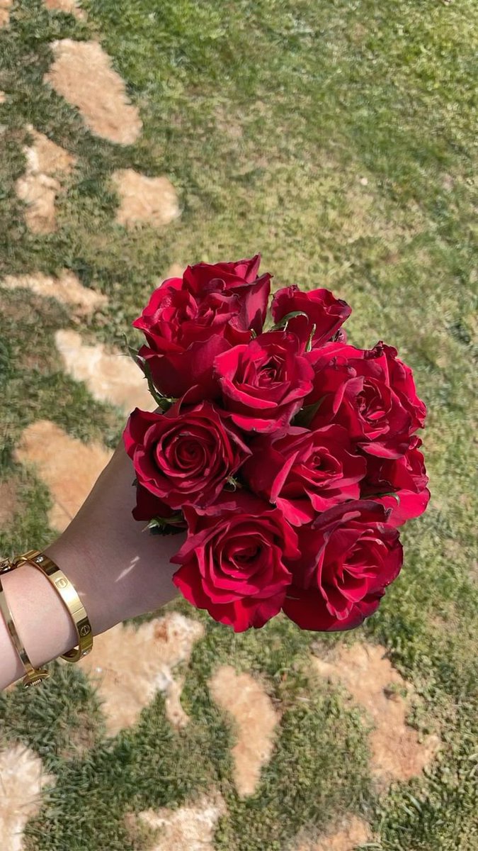 DailyVibesx1's tweet photo. #flower #love #nsfwtwtًً https://t.co/9JGA3NUDfU