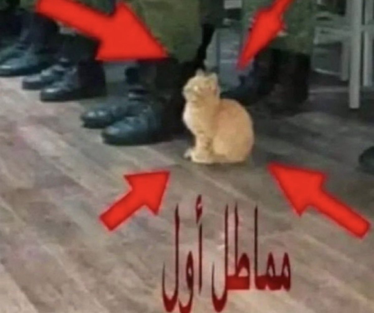 i14nn's tweet photo. انا لاني كل يوم اقول بكره بعدل نومي https://t.co/Eb1AOwUqJn