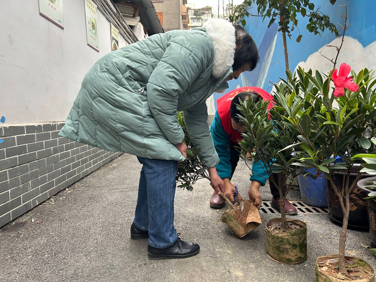 James366202's tweet photo. Join our community garden clean-up this Sat 9am at Central Park! Gloves u0026 snacks provided—help spruce up our shared space, meet neighbors, and grow something green together. See you there! https://t.co/ARtRzMa1AP