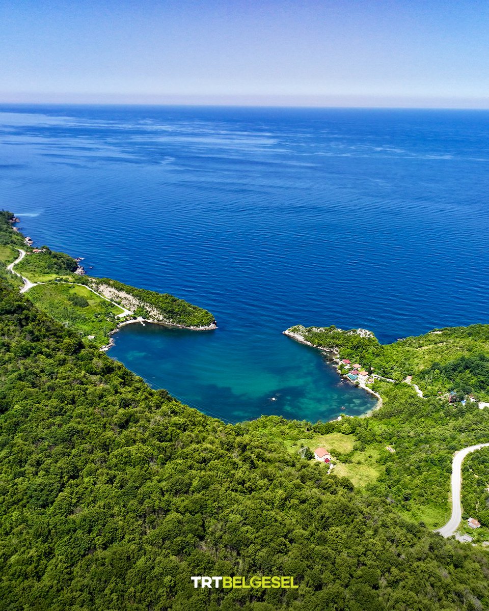 TRTBelgesel's tweet photo. 🏞️ Kastamonu'nun Karadeniz kıyısındaki ilçesi Cide'de yer alan Gideros Koyu, yeşil ile mavinin buluştuğu eşsiz manzarasıyla ilgi çekiyor.
📸: AA https://t.co/KpXBSxQQAp