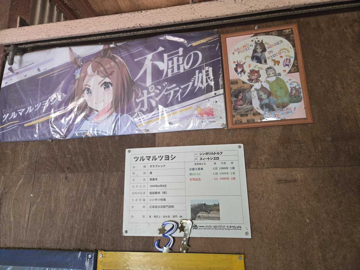 meisei_0 tweet picture