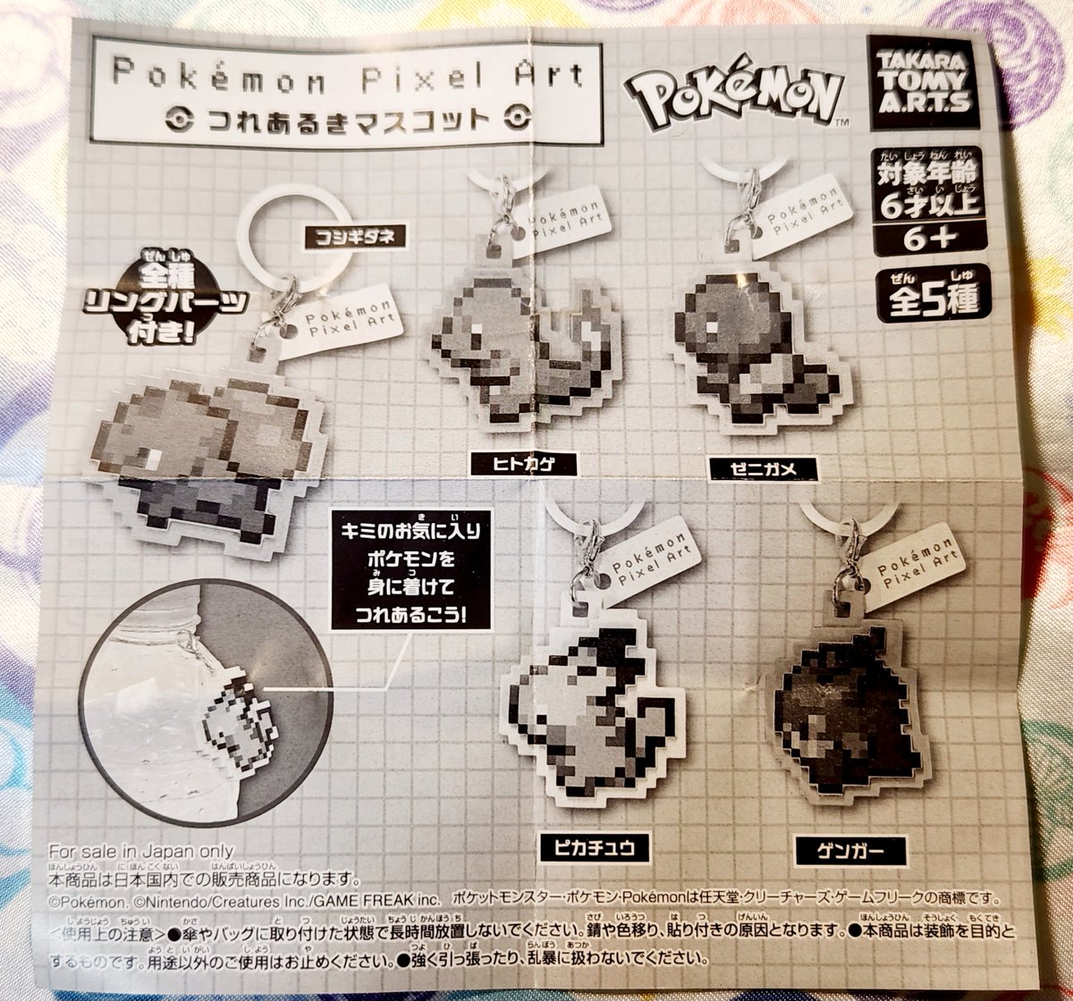 Chandelure_100's tweet photo. 22026.8.2　横浜西口🍀C-pla シープラ店🌊Pokémon Pixel Art つれあるきマスコットを回してみました。

#ガチャポン　#ポケモン　#つけあるきマスコット　#フシギダネ　#ゼニガメ https://t.co/oKGcIrqbxc
