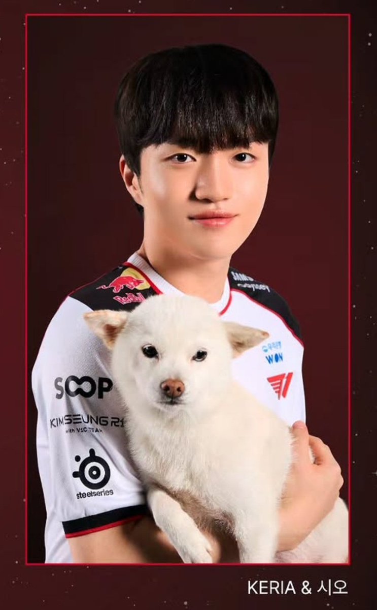 pompulin5's tweet photo. 어떻게 이런 사진이 https://t.co/BgxqKb7Erv