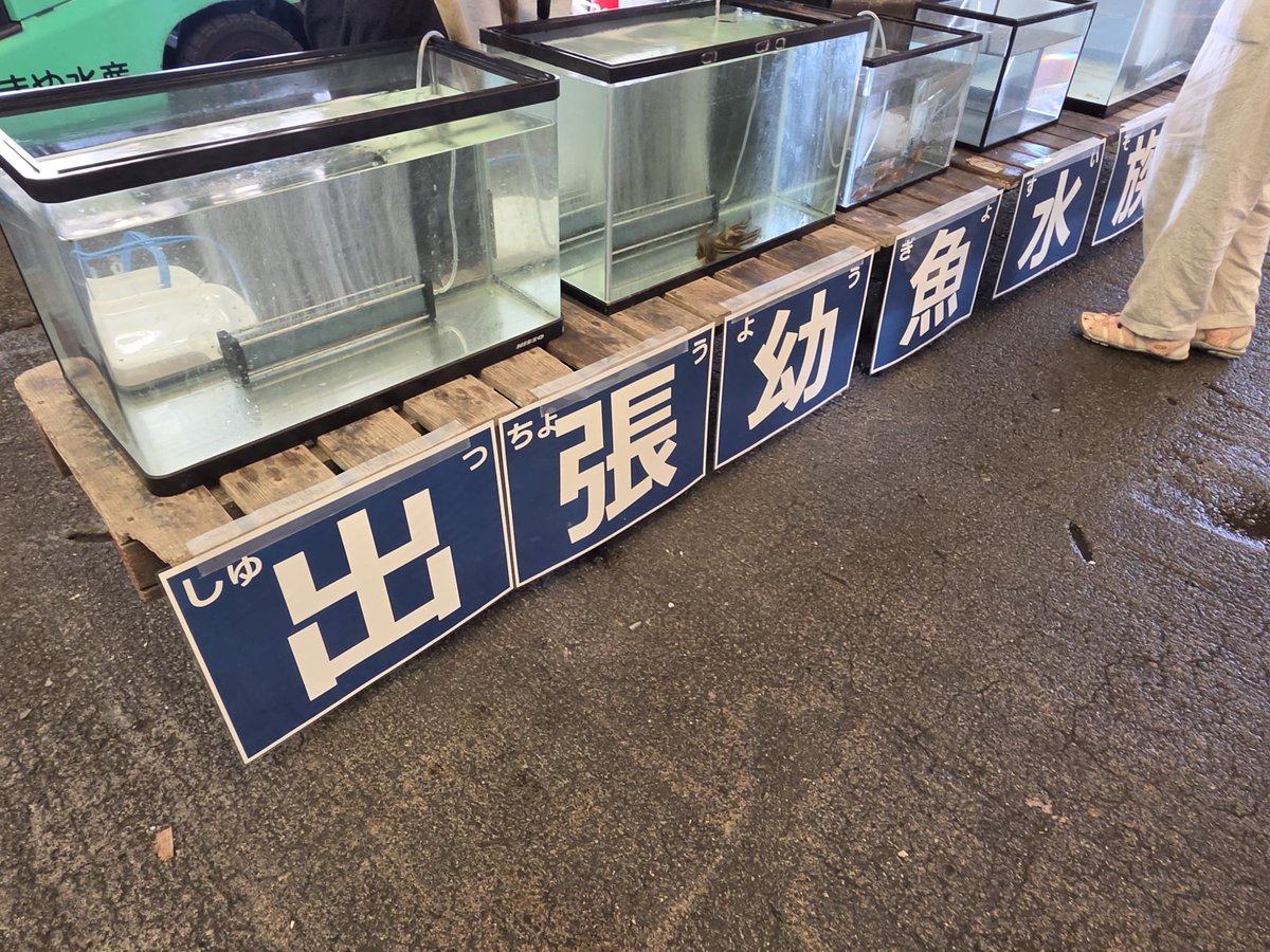 tonippa62's tweet photo. 今日行った水族館？

小田原みなとまつり
採れたての新鮮な魚が泳いでました https://t.co/ummXGntp7B